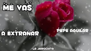 Me Vas Extrañar - Pepe Aguilar #lovesong #shortvideo #pepeaguilar