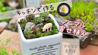 キッチンで作れる♡「アニマル寄せ植え🌱🐖🌱」（@マキバライフ  ）