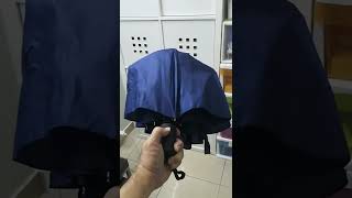 Quick Operation Auto Open and Close Foldable Windproof Umbrella.