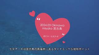 2024 03 Okinawa 宮古島で神秘的な地形ダイビング 　レアポイント：南岸エリア 七又アーチ　4K映像