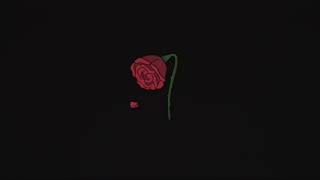 Cuco - Bossa No Sé (lyrics) ft. Jean Carter