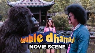 Roy Saves Kiya From Gorilla | Double Dhamaal | Movie Scene | Sanjay, Arshad, Javed, Ritesh, Aashish