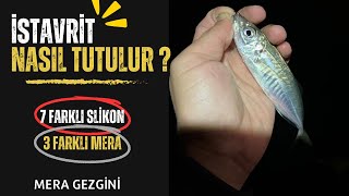 İSTAVRİT AVI ! LRF AVI ! İSTAVRİT NASIL TUTULUR ?