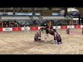 pepsio.w jardonnay vdl x casco show 07 12 2024 round 1