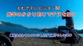 えむでテレビジョン60長竿のかかり釣りでチヌを狙う