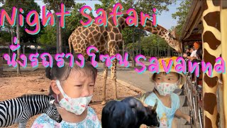 เชียงใหม่ไนท์ซาฟารี ตอนกลางวัน Night Safari EP.5/6  นั่งรถรางชมสัตว์ โซนสวันนา Savanna  | อองอิง