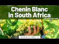 Chenin Blanc in South Africa for WSET Level 4