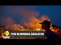 WION Climate Tracker: Why is the Amazon rainforest burning? | International News