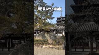 世界最古の木造建築 #nara #temple #法隆寺