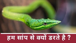 सांप से डर क्यों लगता है ?  | Amazing Facts about Sankes  #factkiduniya