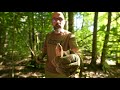 feuer machen 3 natürliche zunder bei jedem wetter bushcraft survival feuerstahl bushcraft wissen 001