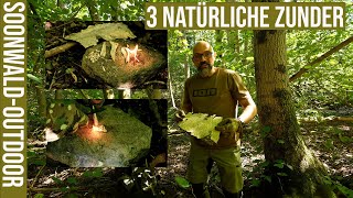 Feuer machen 3 natürliche Zunder bei jedem Wetter Bushcraft Survival Feuerstahl Bushcraft Wissen 001