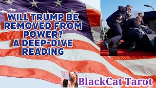 BlackCat Tarot Presents A Deep-Dive Reading~ Will Trump Be Removed From Power? What's Trump's Future