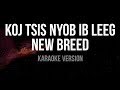 New Breed   Koj Tsis Nyob Ib Leeg Karaoke