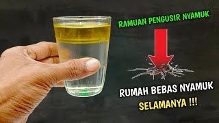 CUKUP PAKE RAMUAN INI !!! RUMAH BEBAS NYAMUK SELAMANYA !!