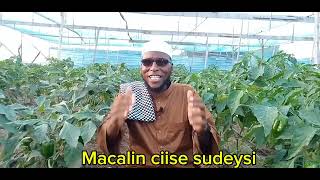 Tuugada tuugga ugu weyn#By:#Macalin_Ciise_Sudeysi#Abuu_Mucaad