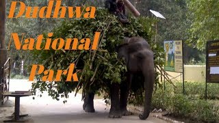 Dudhwa National Park | A Small View