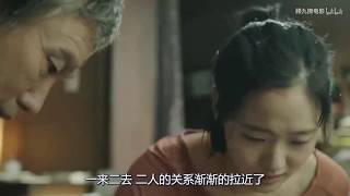 解说【银娇】美女 伦理片|猎人正准备射击，突然发现一只老虎正看着他，下一秒出乎所有人意料 剧情/爱情 电影 影评