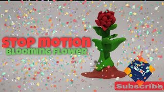 Blooming flower - stop motion mini movie