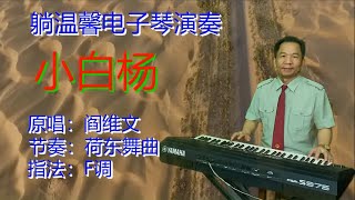 荷东舞曲 演奏经典老歌《小白杨》带给你不一样的体验 超值享受