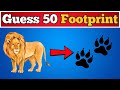 Can You Guess the 100 Animal from Its Footprint? | 100 Animal Tracks Quiz Challenge | kids quiz