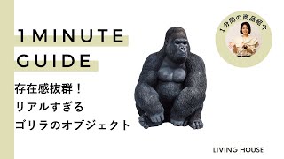 #015 ひととは違う遊び心を　KARE ゴリラオブジェ【ワンミニッツガイド】