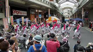 YOSAKOIぶち楽市民祭2024・わん！～WAN～（みずほ銀行前会場）