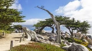 Summer Road Trip 2014 - day 13 & 14  Pacific Highway 1 & 17 Mile Drive
