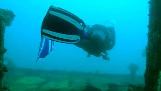 Ruby E Dive 1