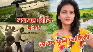 abeli olp furilu || পথাৰত গলো ভূঁই ৰুব || daily volg || susmita talukdar||