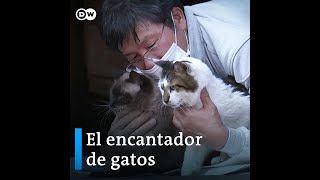 El hombre que susurraba a los gatos de Fukushima