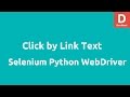 Python Selenium Webdriver Click by link text