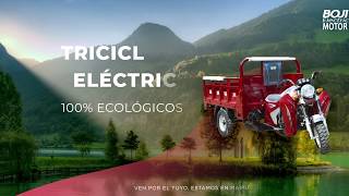 Triciclos eléctricos de carga - Toritos - Motocarro - Moto carga