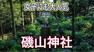 栃木文化財【磯山神社のあじさい】ドローン男子空撮