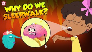 SLEEPWALKING | Why Do We Sleepwalk? | The Dr Binocs Show | Peekaboo Kidz