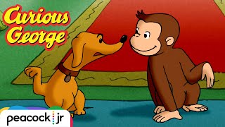 Dog for a Day 🐶 | CURIOUS GEORGE