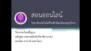 บทที่ 1 ภาษาไทยพื้นฐาน (ปวช1)