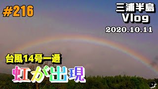 ＃216　[三浦半島] [Vlog] 台風一過 虹が出現 ― 2020.10.11