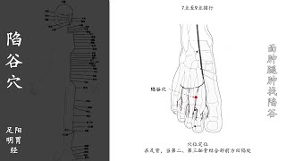 人体穴位074：陷谷：面肿腿肿找陷谷，用指腹按揉陷谷穴2～3分钟，长期按摩，可改善面目水肿、目赤痛等 20211113.mp4