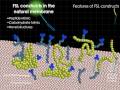 KODE™ Biosurface Engineering Technology Part 1 [About KODE Technology]