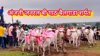 अंजनी जनरल बी गाठ बैलगाडा शर्यत || anjani general B gat bailgada sharyat #cow #bailgadasharyat #cow