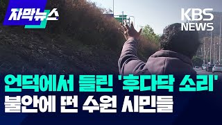 언덕에서 들린 '후다닥 소리'...불안에 떤 수원 시민들 / KBS 2024.11.10