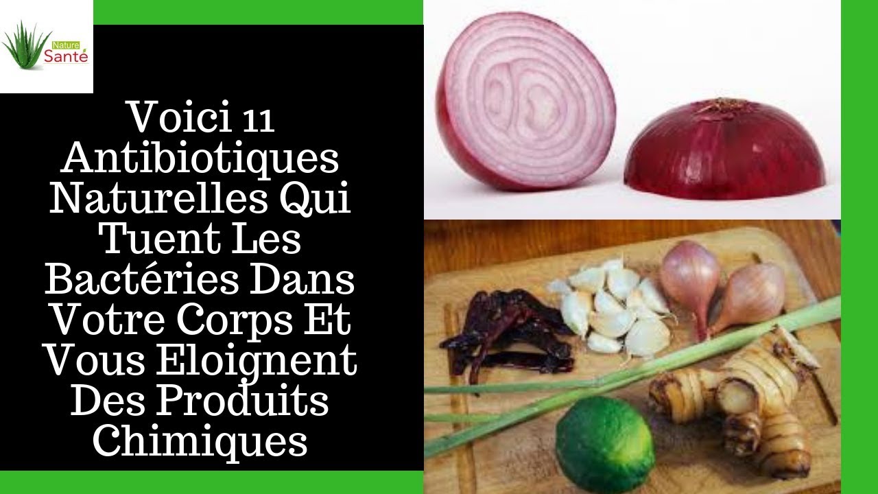 Les 11 Antibiotiques Naturels Les Plus Puissants Pour Un Traitement ...