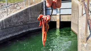 My Most SHOCKING Spillway Find YET!!! (Biggest in YEARS!)