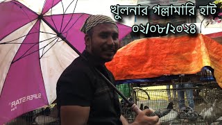 ০২/০৮/২০২৪ খুলনার গল্লামারি হাটের চিত্র।Khulna Pigeon Market