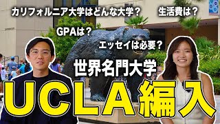 【留学】海外名門大学に合格するまでの流れ│編入制度とは？