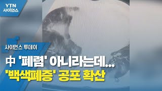 中 '폐렴' 아니라는데...'백색폐증' 공포 확산 / YTN 사이언스