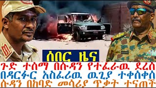 በሱዳን የተፈራዉ ደረሰ፤በዳርፉር አስፈሪዉ ዉጊያ ተቀሰቀሰ፤ሱዳን በከባድ መሳሪያ ጥቃት ተናጠች | Ethiopia News | Feta Daily