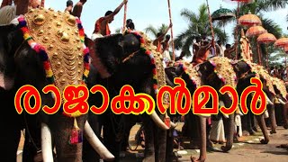 കേരളത്തിലെ  ആനകള്‍ / kerala famous elephant