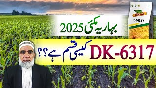 Characteristics of maize variety DK-6317 || Crop Reformer